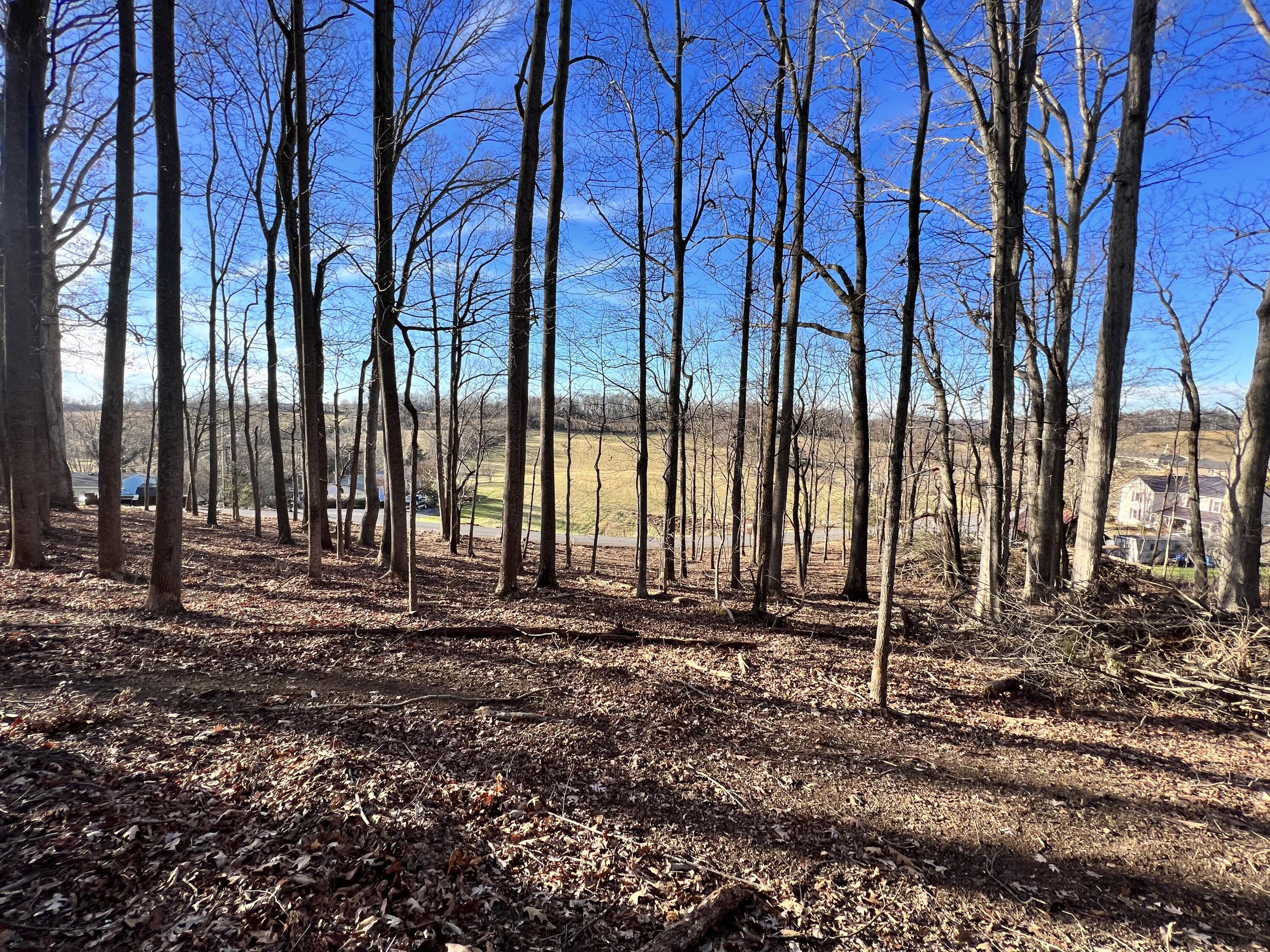 9 Booher Road, Unit 9 Jonesborough, TN 37659 - Photo 12 of 12 949A05E2-44F1-4FCE-B32A-52690F907C30