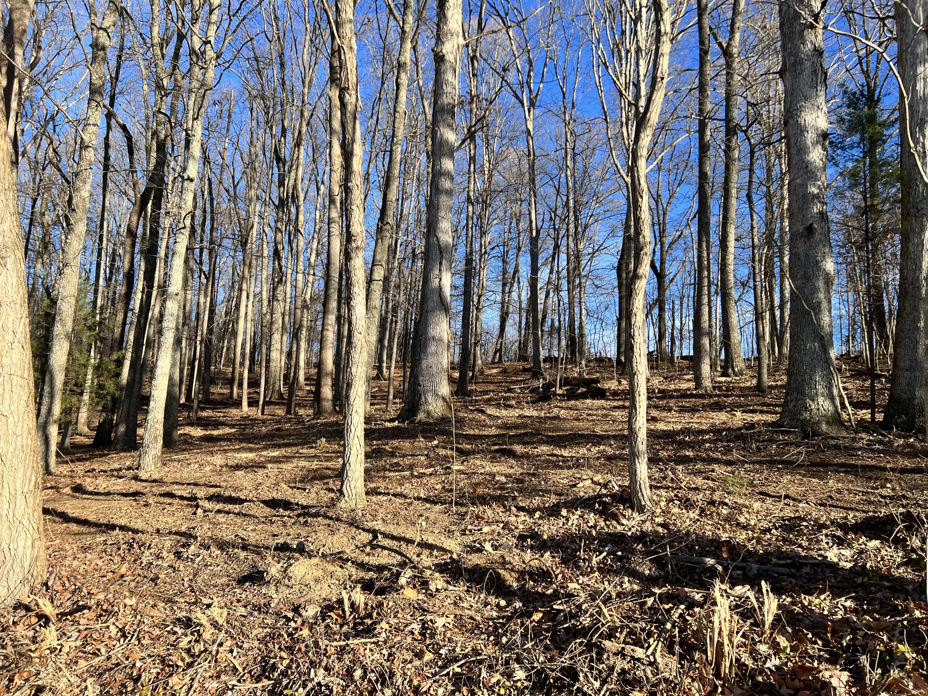 9 Booher Road, Unit 9 Jonesborough, TN 37659 - Photo 3 of 12 E80910FD-E723-4E3C-96B6-8C28891E70B6