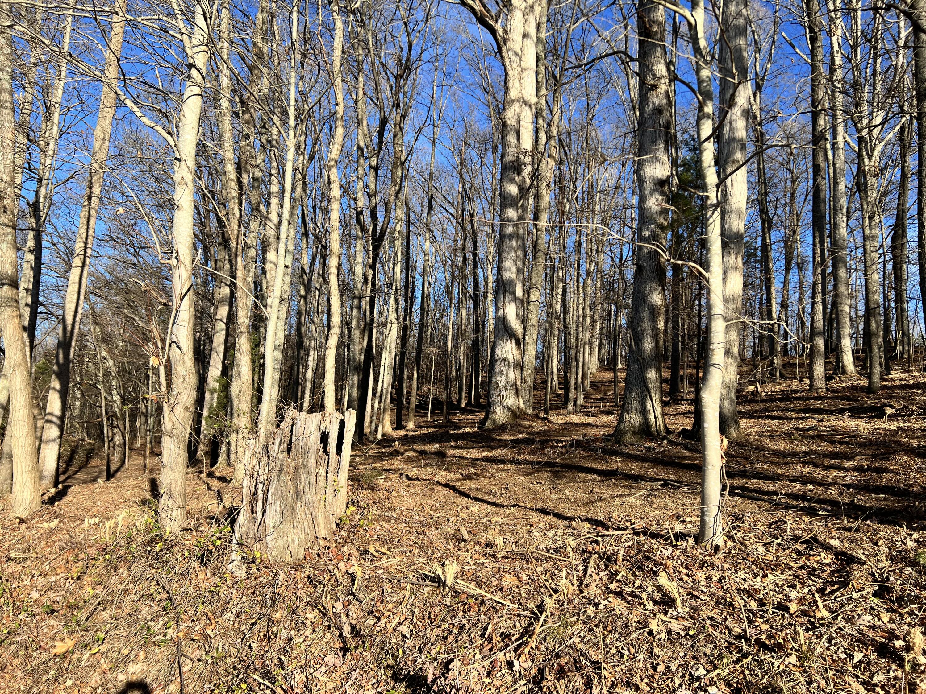 9 Booher Road, Unit 9 Jonesborough, TN 37659 - Photo 4 of 12 014E9F53-7A5F-4116-9563-BDA7B79453BF
