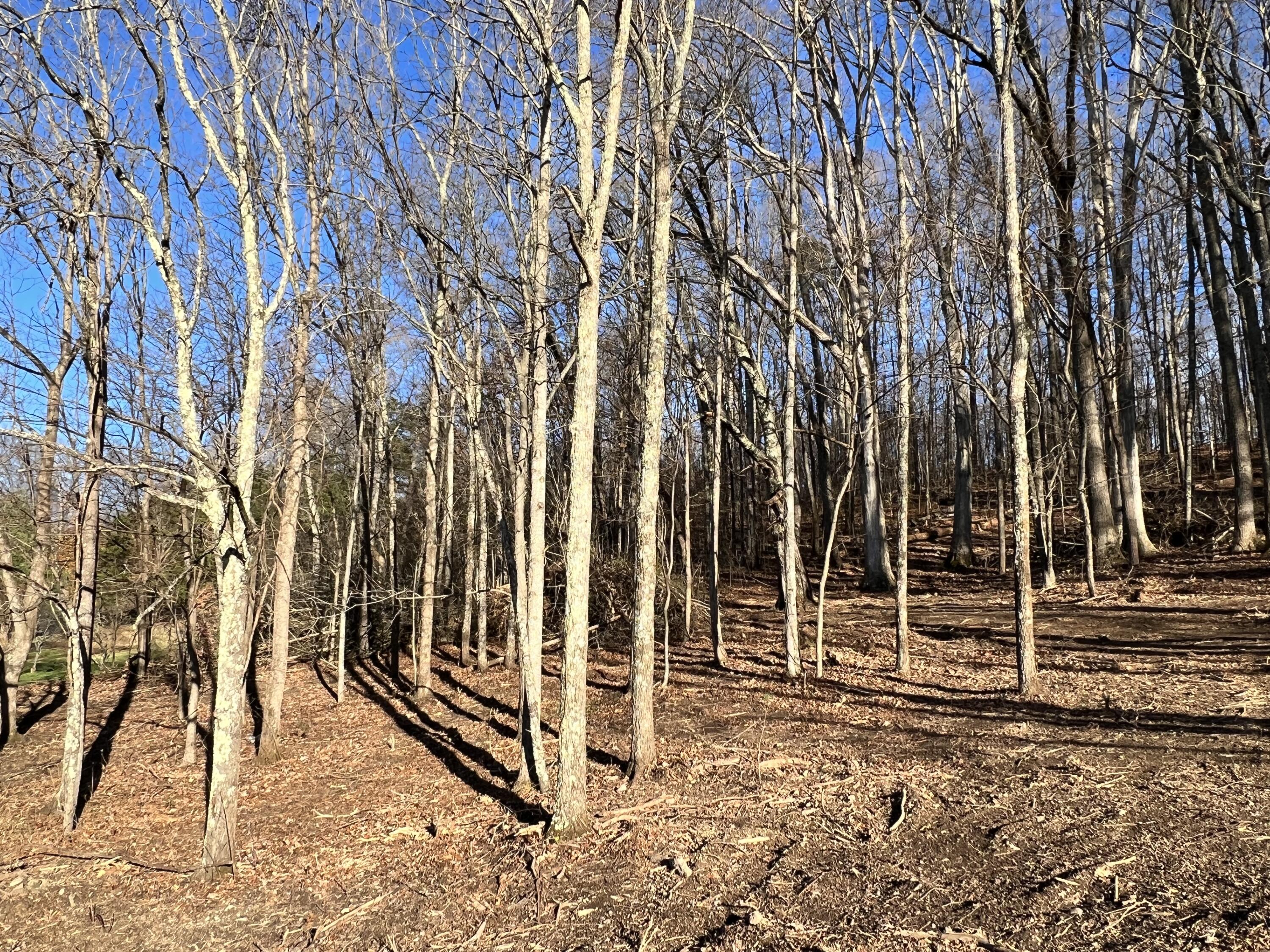 9 Booher Road, Unit 9 Jonesborough, TN 37659 - Photo 5 of 12 CC2732C4-365B-41CC-B1AD-B7FA5B80254A