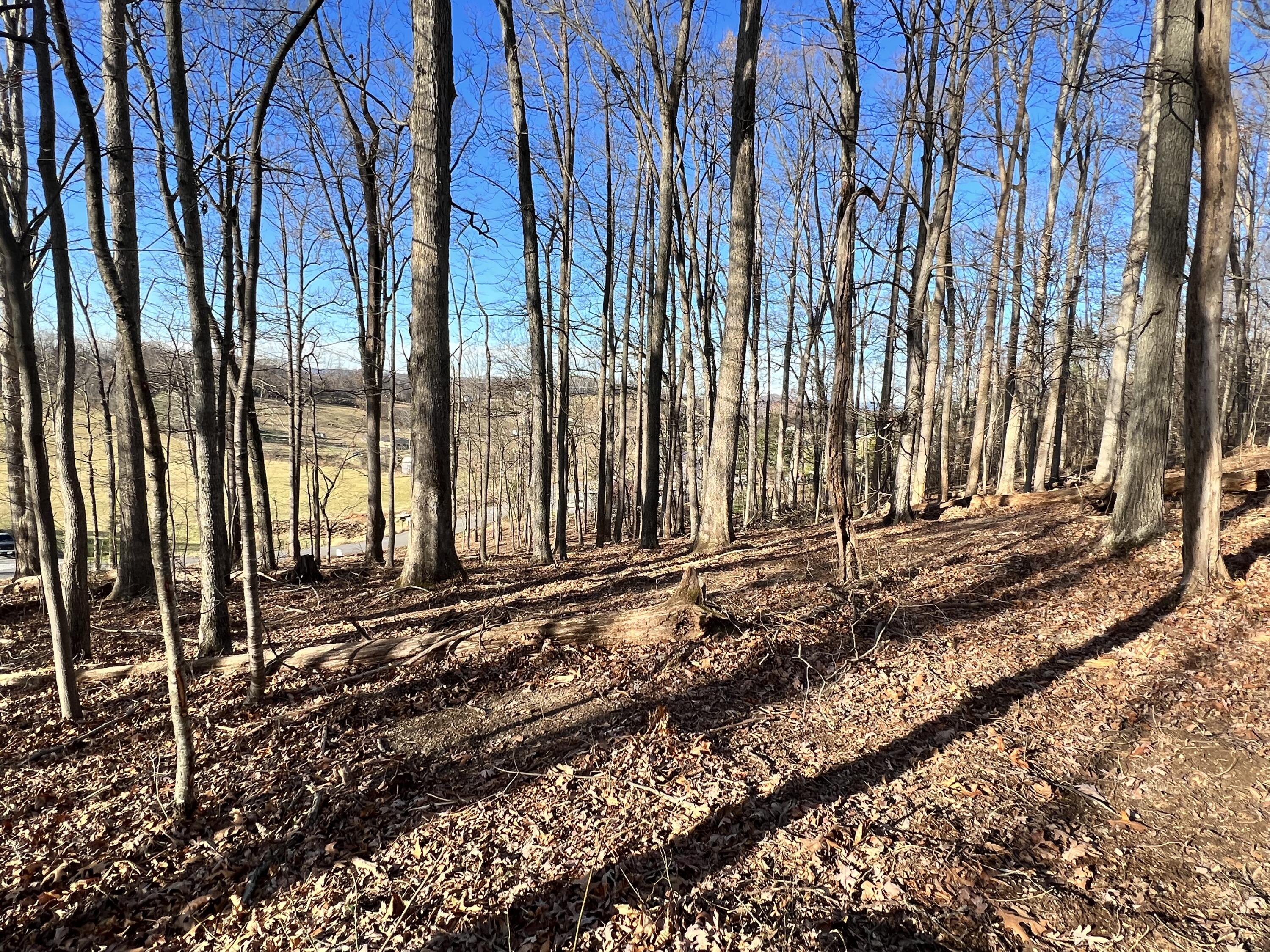 9 Booher Road, Unit 9 Jonesborough, TN 37659 - Photo 7 of 12 62E9EF44-4AF8-4EBD-ACED-CC151B0B2AC8