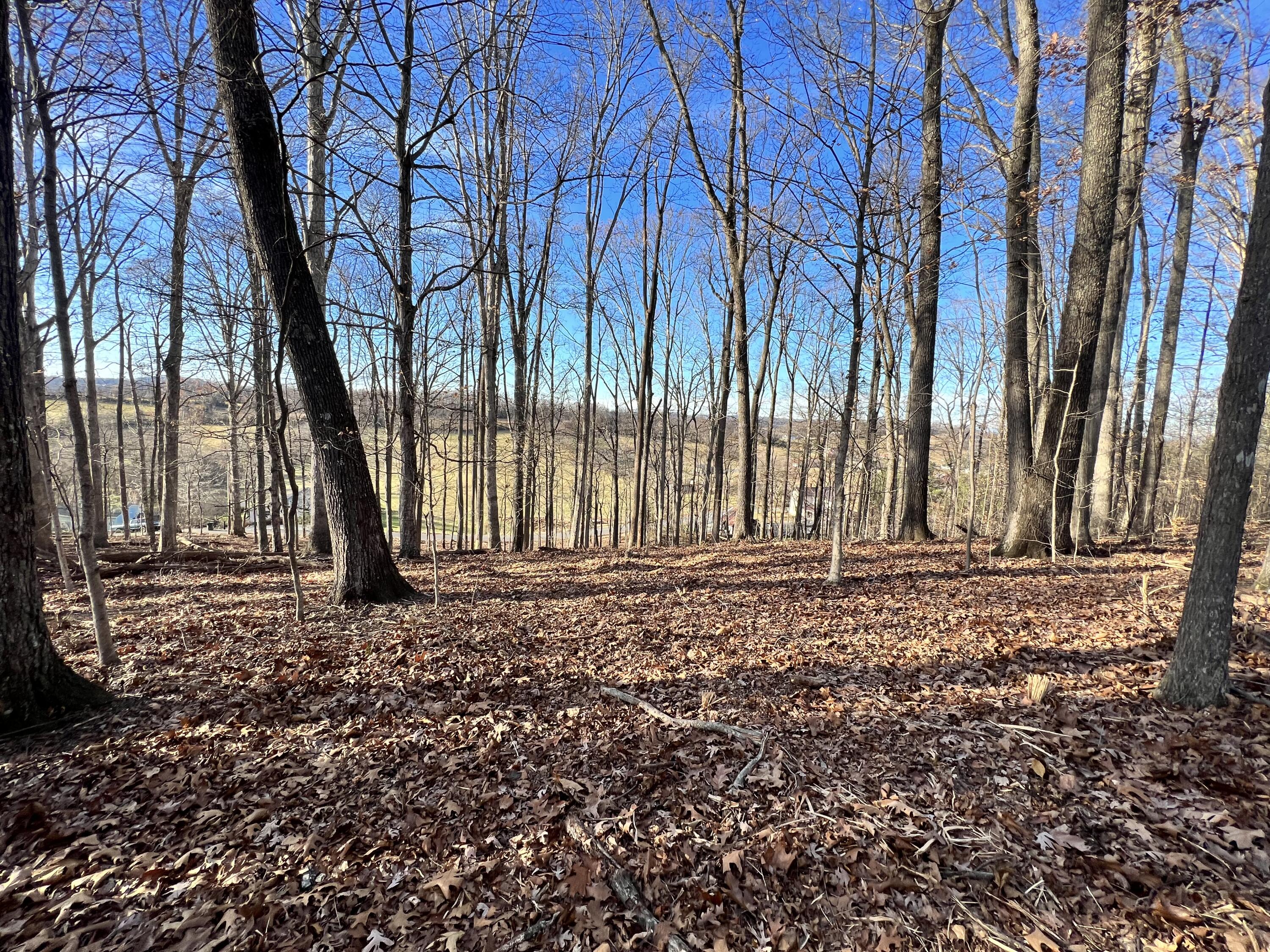 9 Booher Road, Unit 9 Jonesborough, TN 37659 - Photo 8 of 12 34A61A07-A4B0-4926-8A33-5367E50C89C5