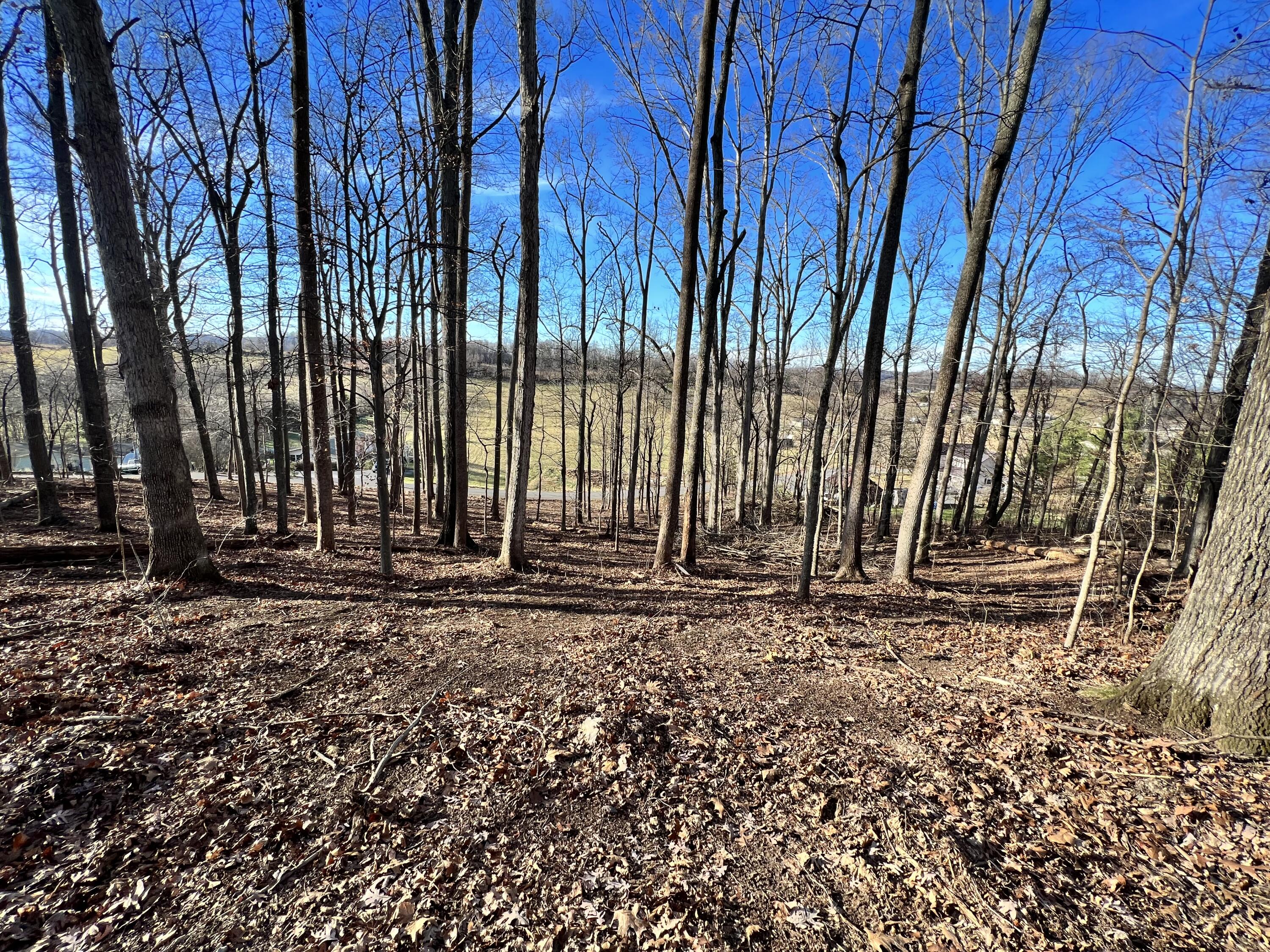 9 Booher Road, Unit 9 Jonesborough, TN 37659 - Photo 9 of 12 7A9468E9-93BB-4951-87B0-B81A52A8B696
