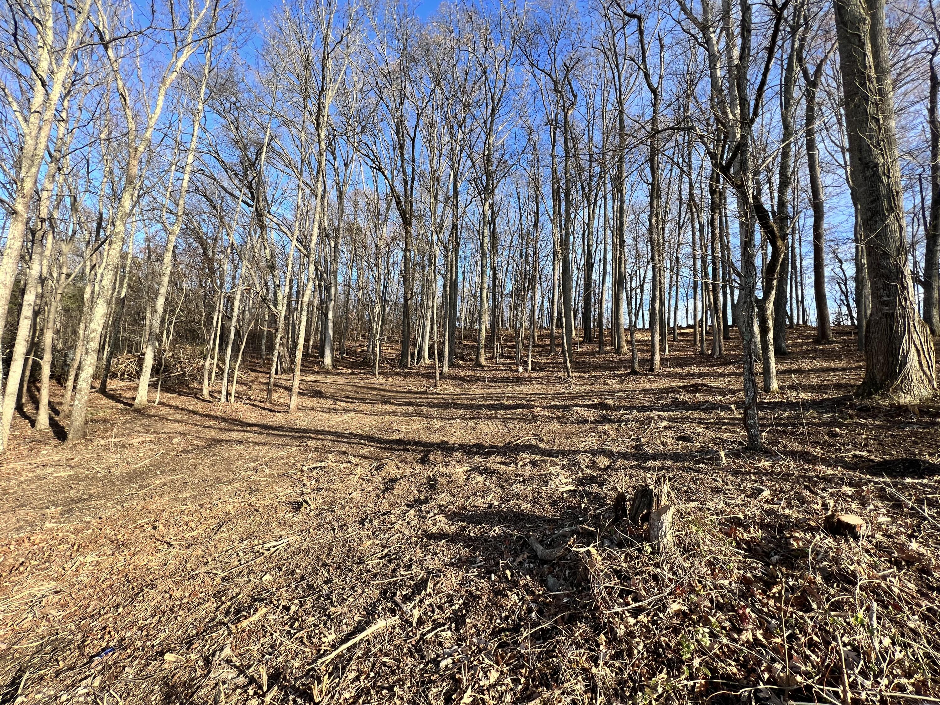 9 Booher Road, Unit 9 Jonesborough, TN 37659 - Photo 10 of 12 0F8AFF2B-85C2-4438-AEFA-C6301D7789B0