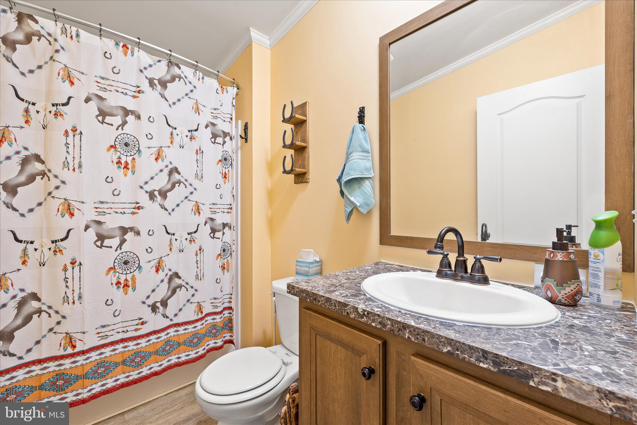 679 Oak Hill School Road Townsend, DE 19734 - Photo 23 of 50 a bathroom with a granite countertop sink and a mirror