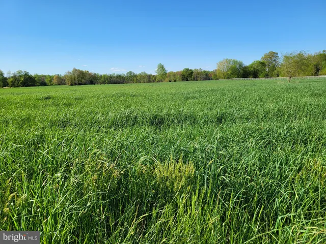 $765,000 | 679 Oak Hill School Road, Townsend, DE 19734