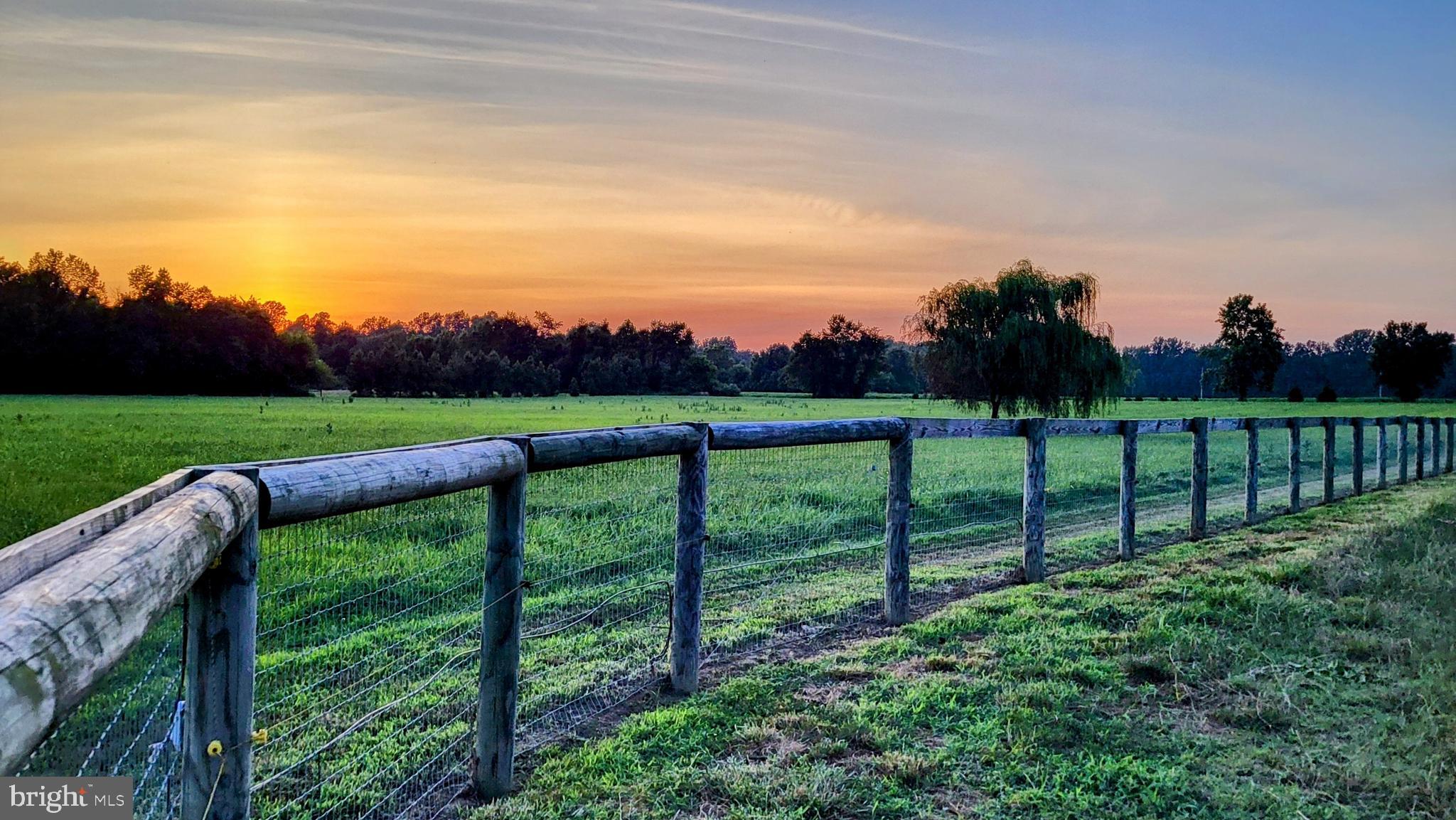 679 Oak Hill School Road Townsend, DE 19734 - Photo 49 of 50 a view of an outdoor space and a yard