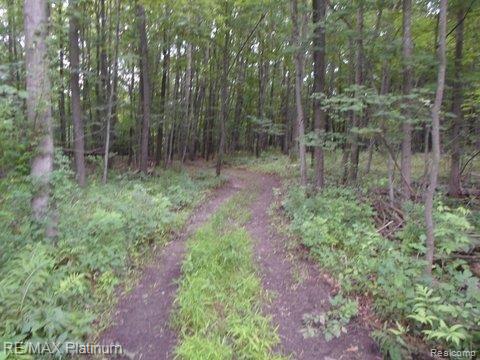 4300 Cullen Road Fenton, MI 48430 - Photo 41 of 43 SAM_3784.jpg