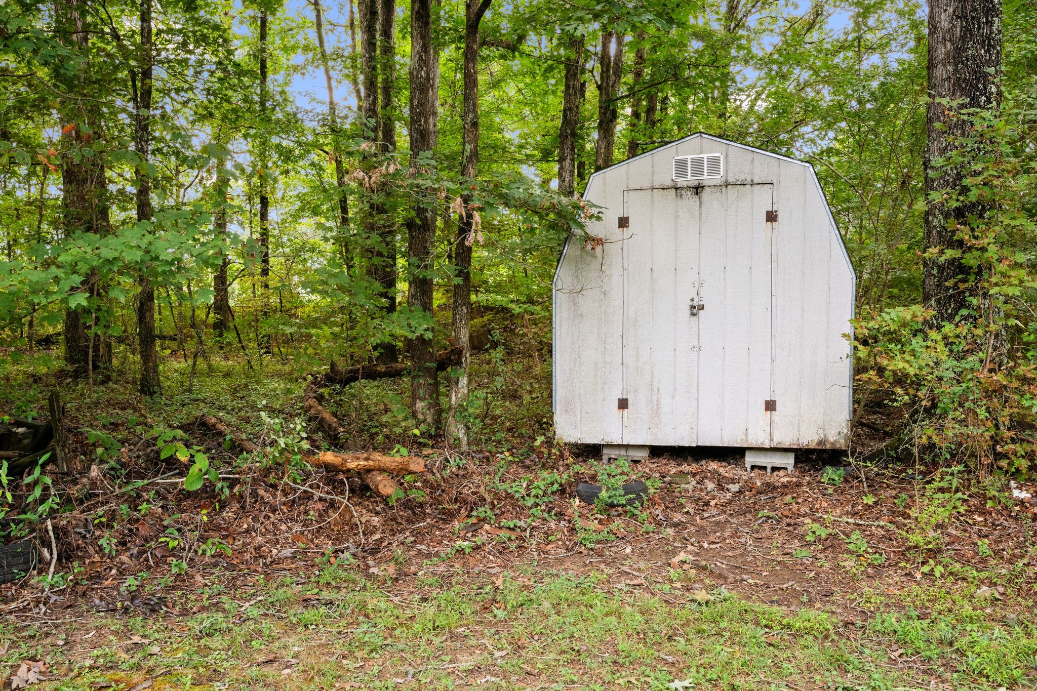 6120 Primm Springs Road Lyles, TN 37098 - Photo 28 of 29 Gallery Image 28