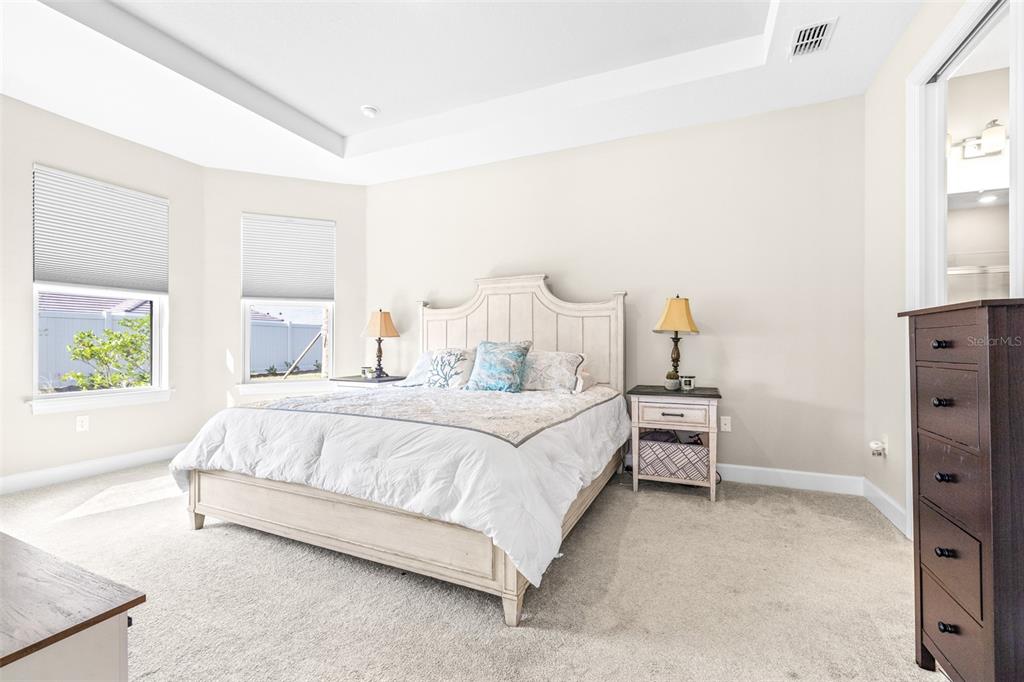 4639 Garofalo Road Wesley Chapel, FL 33543 - Photo 26 of 55