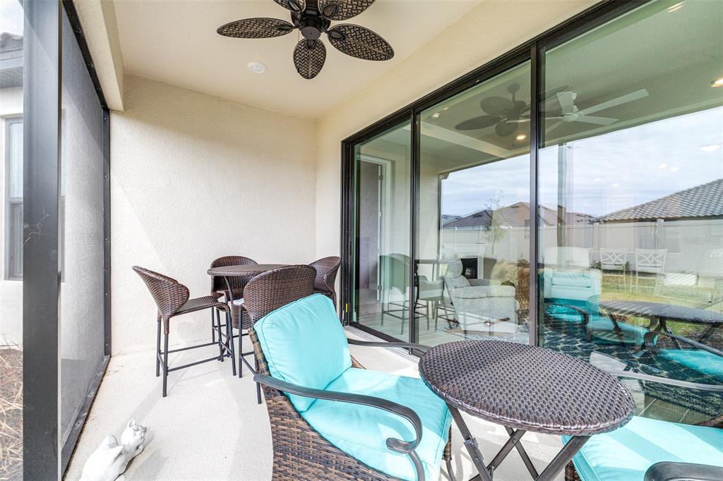 4639 Garofalo Road Wesley Chapel, FL 33543 - Photo 37 of 55