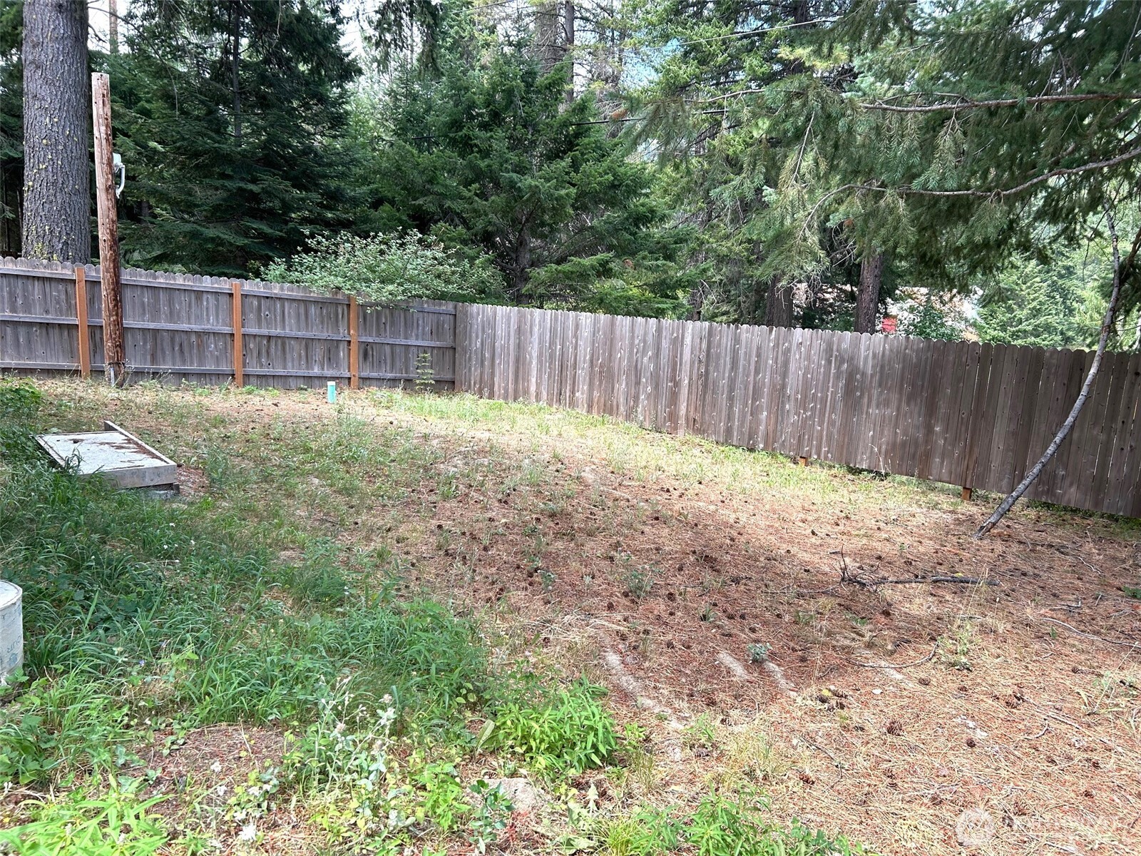 3016 Memory Lane Leavenworth, WA 98826 - Photo 19 of 19 a view of backyard with wooden fence and trees