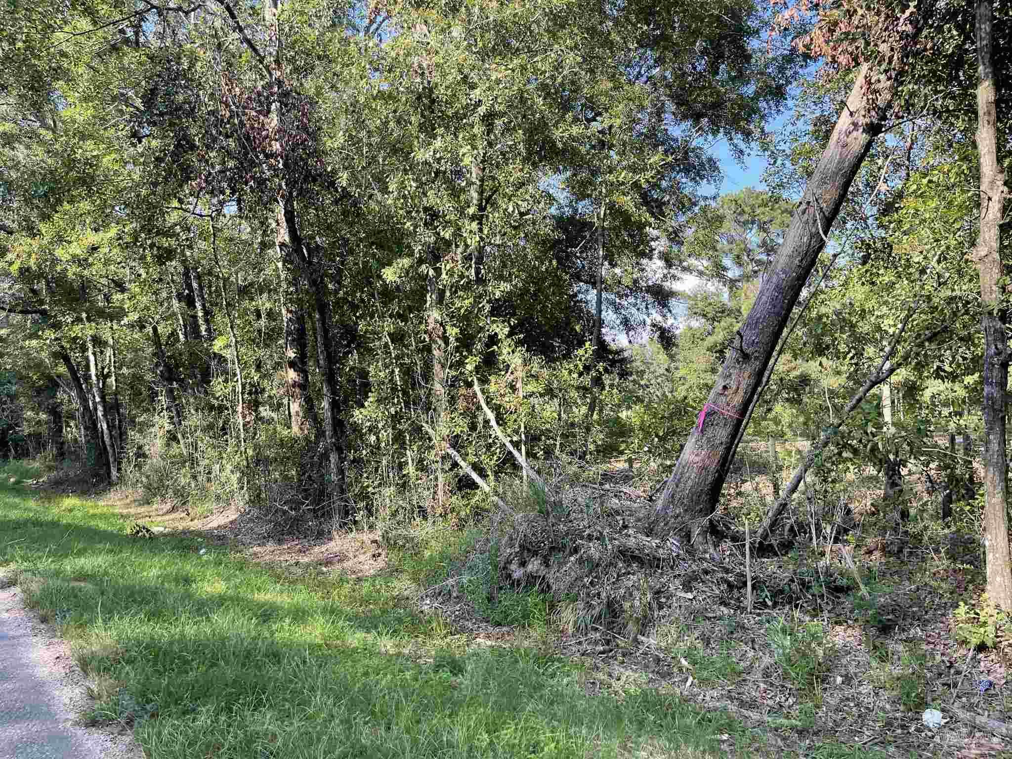 0 Rockhill Road Bay Minette, AL 36507 - Photo 12 of 32