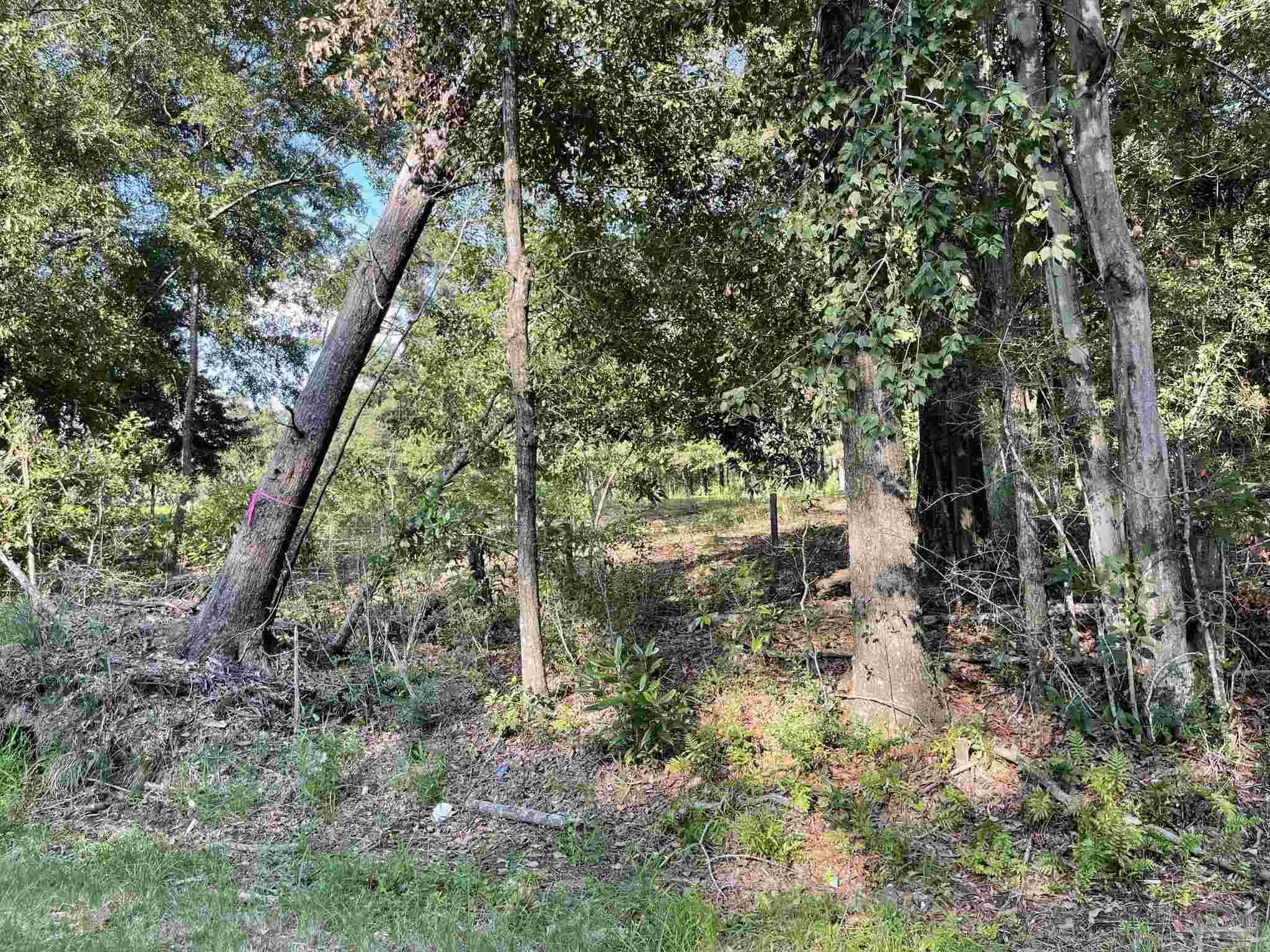 0 Rockhill Road Bay Minette, AL 36507 - Photo 13 of 32