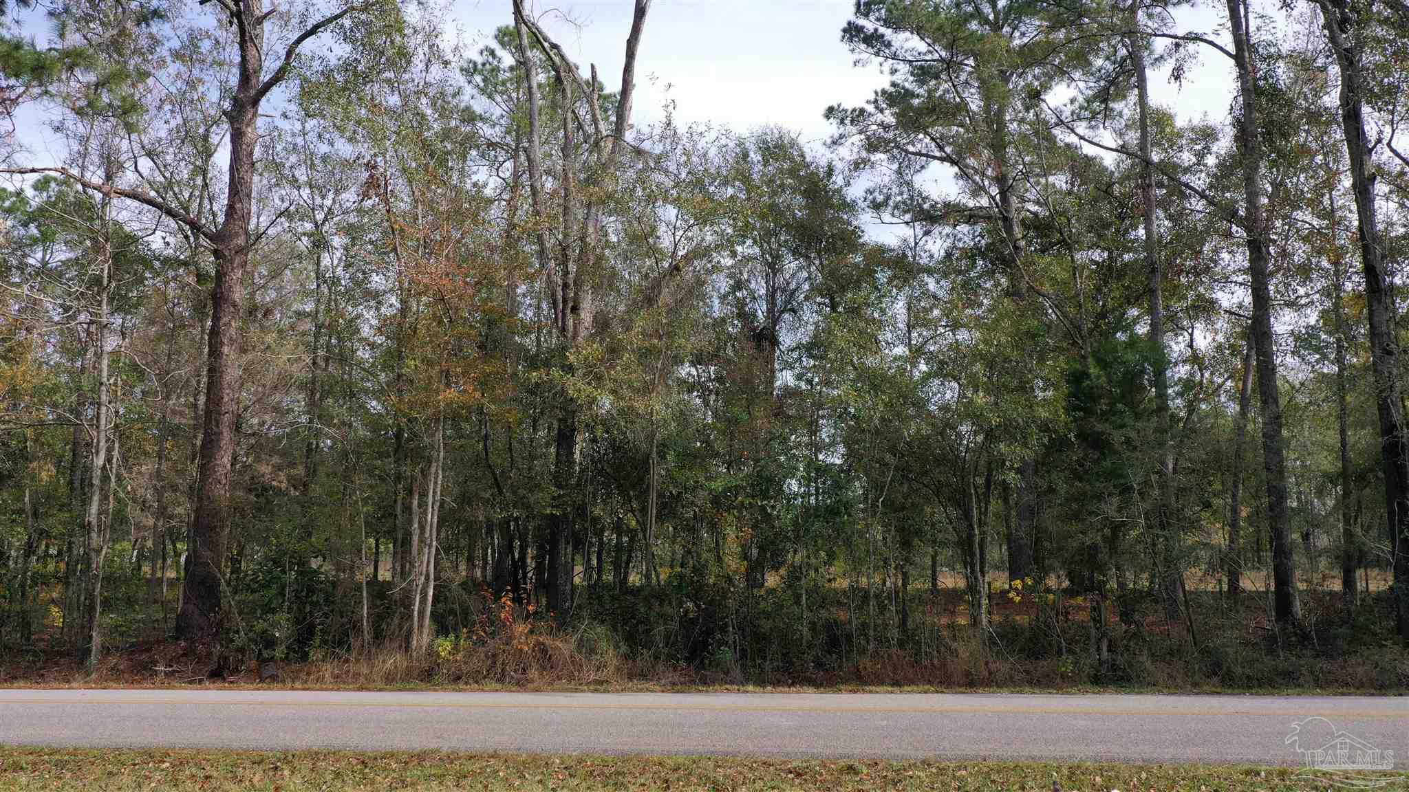 0 Rockhill Road Bay Minette, AL 36507 - Photo 14 of 32