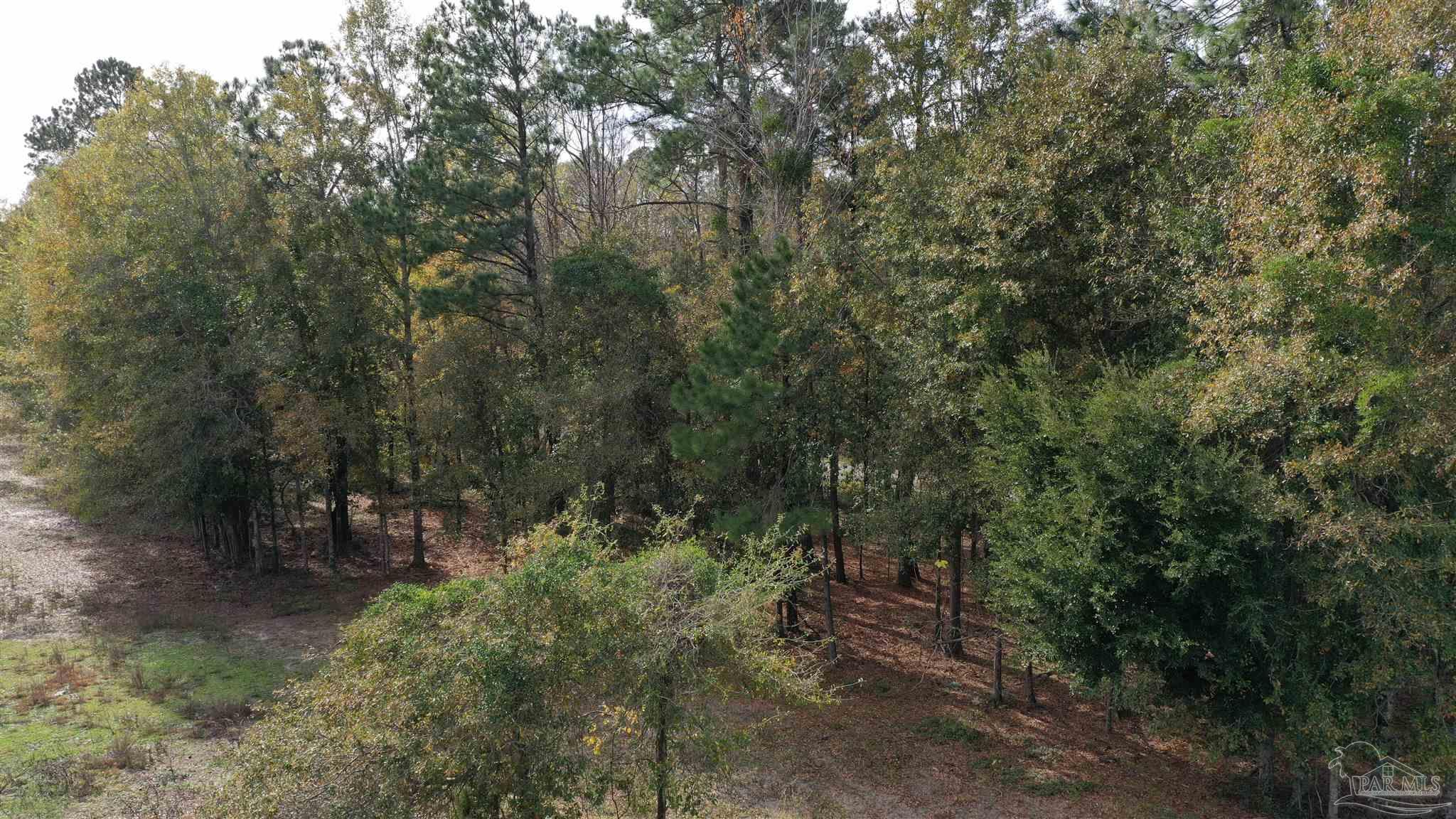 0 Rockhill Road Bay Minette, AL 36507 - Photo 18 of 32