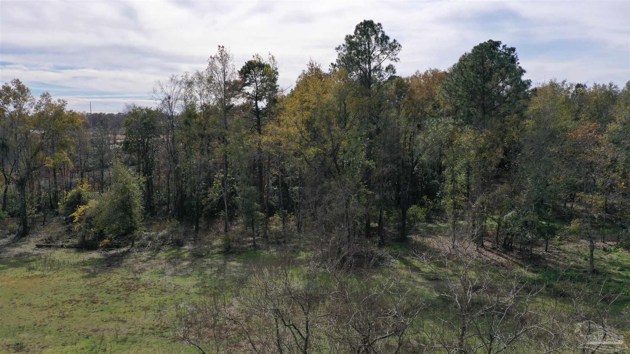 0 Rockhill Road Bay Minette, AL 36507 - Photo 20 of 32