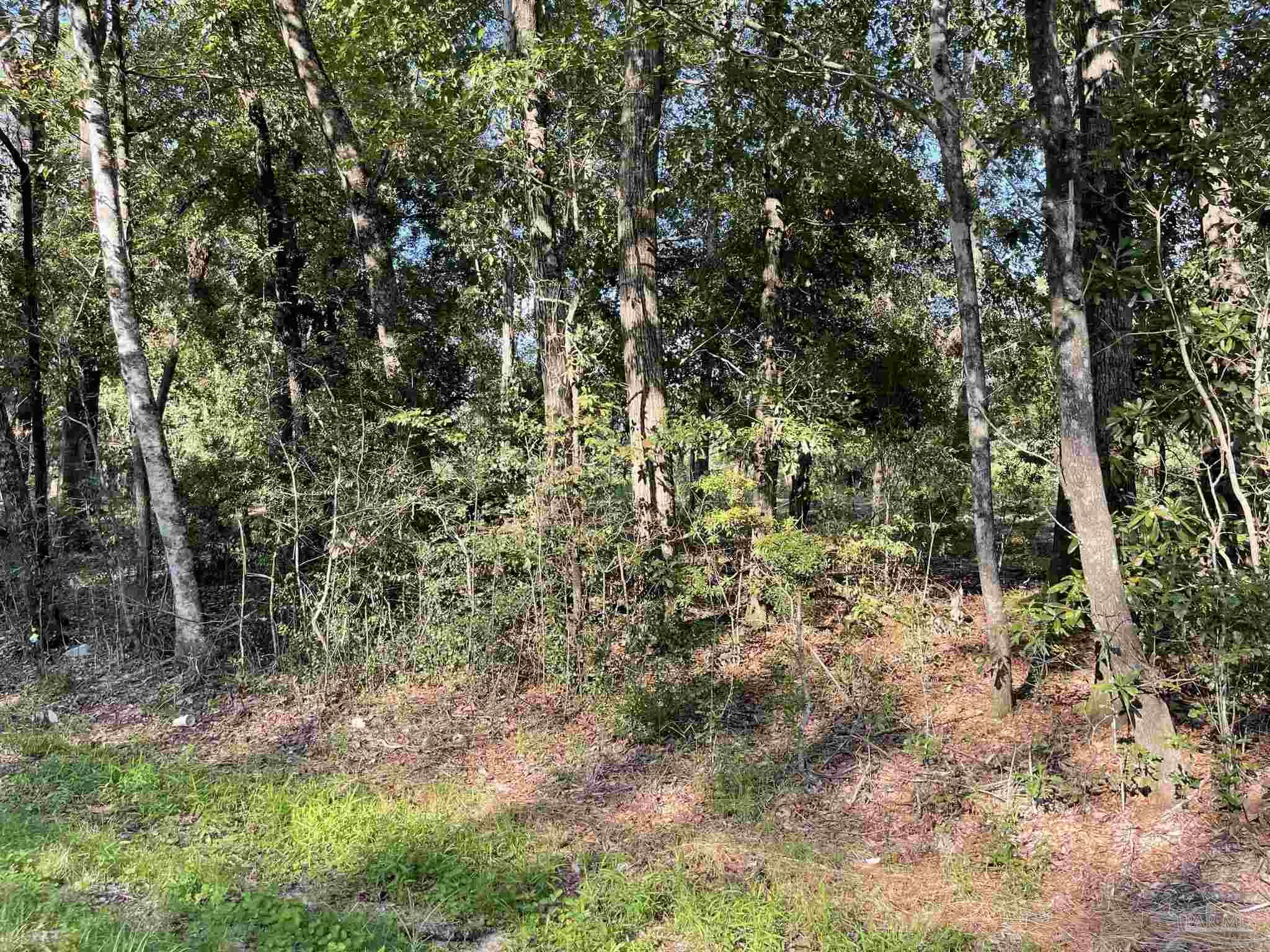 0 Rockhill Road Bay Minette, AL 36507 - Photo 21 of 32