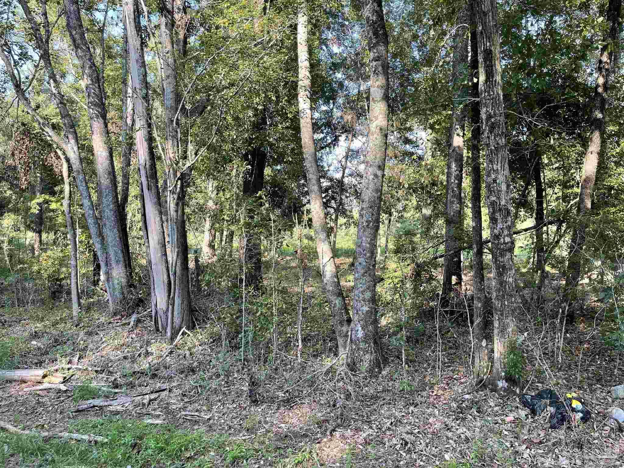 0 Rockhill Road Bay Minette, AL 36507 - Photo 22 of 32