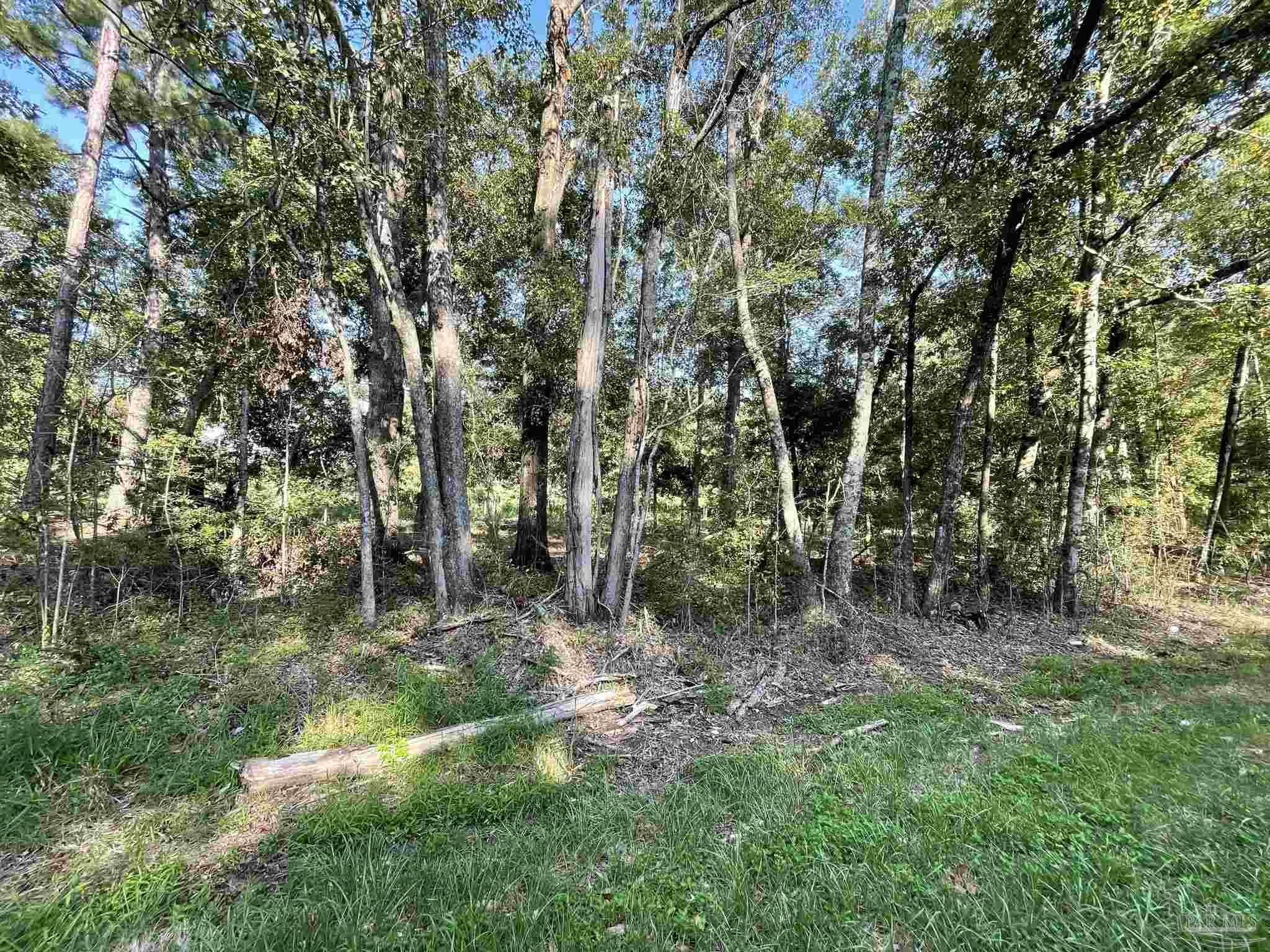 0 Rockhill Road Bay Minette, AL 36507 - Photo 23 of 32