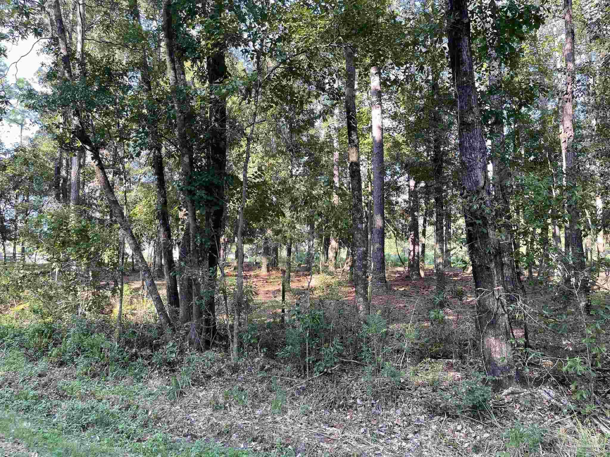 0 Rockhill Road Bay Minette, AL 36507 - Photo 29 of 32