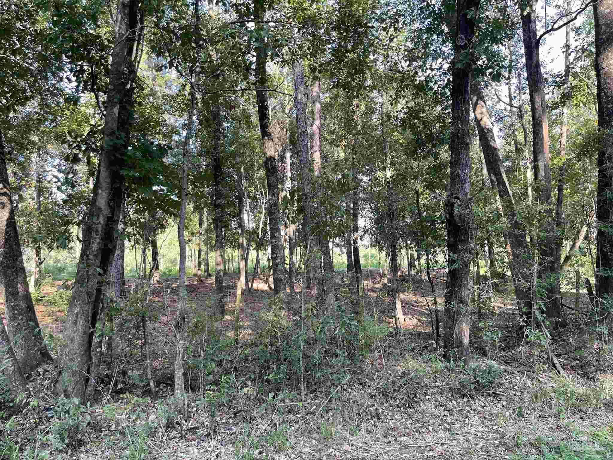 0 Rockhill Road Bay Minette, AL 36507 - Photo 30 of 32
