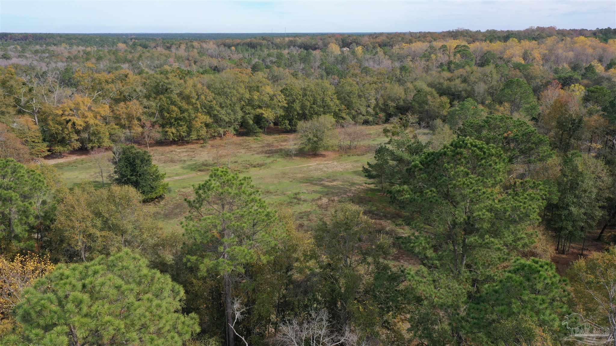 0 Rockhill Road Bay Minette, AL 36507 - Photo 10 of 32
