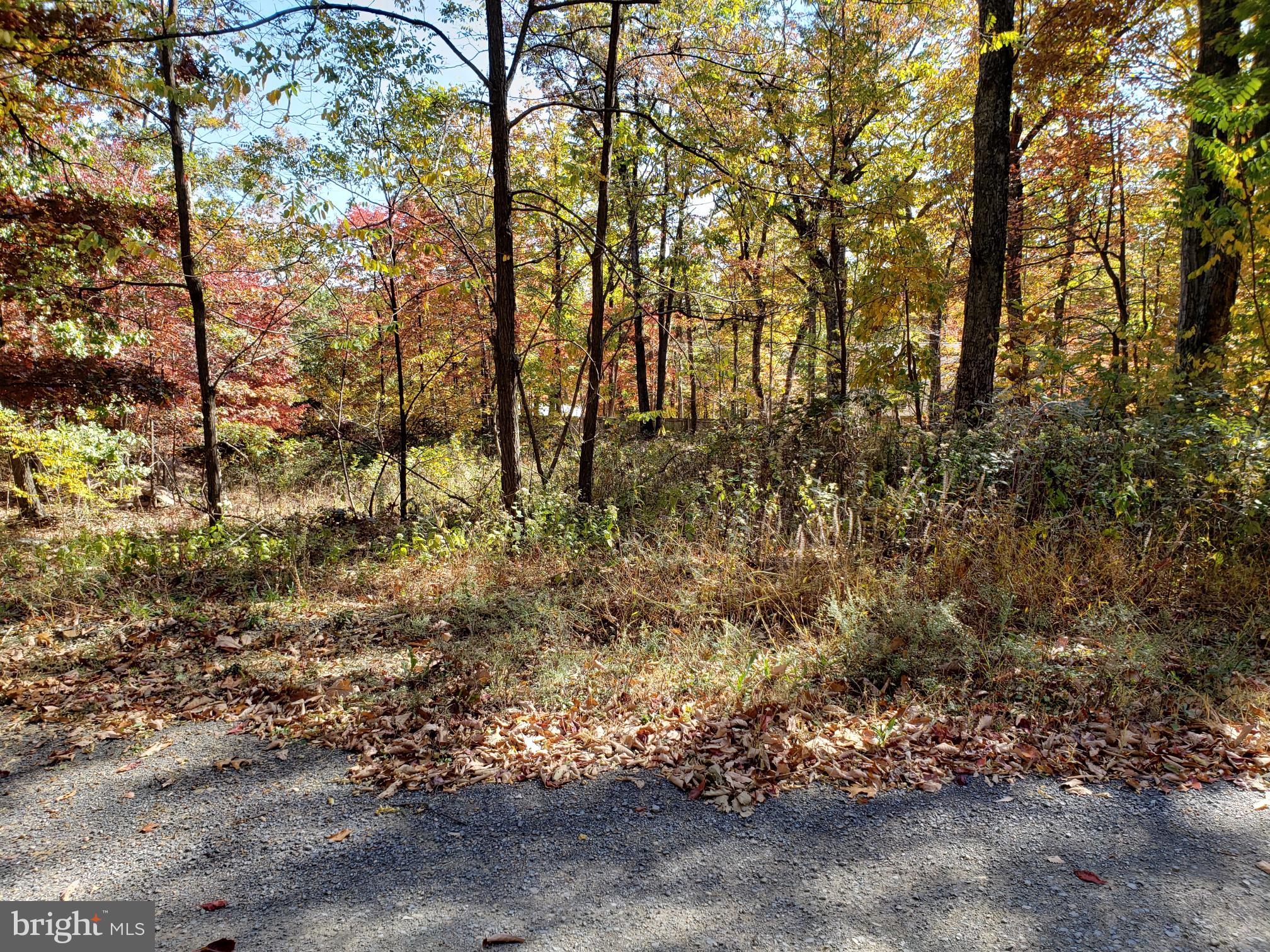 Pheasant Winchester, VA 22602 - Photo 1 of 9