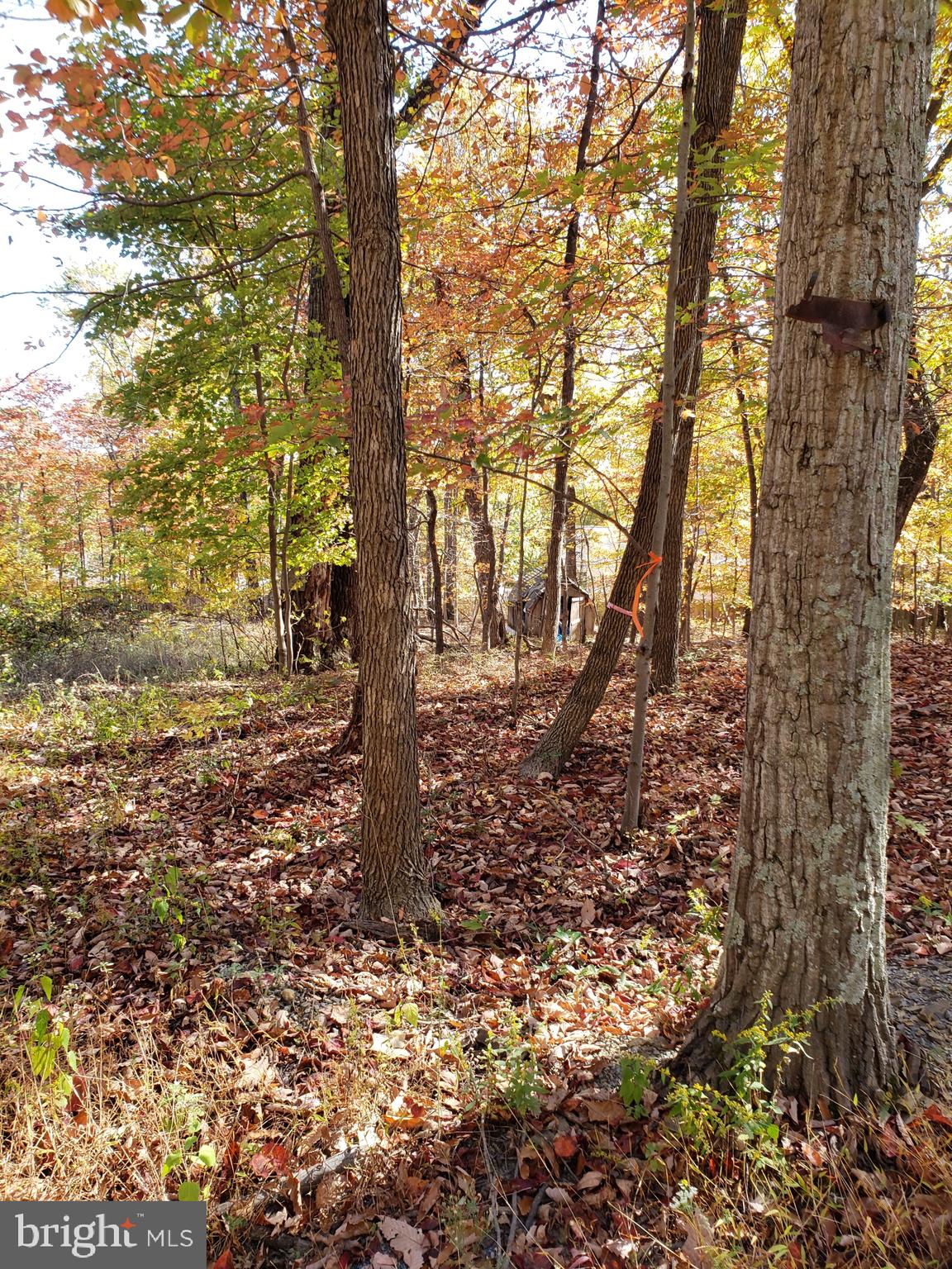 Pheasant Winchester, VA 22602 - Photo 2 of 9