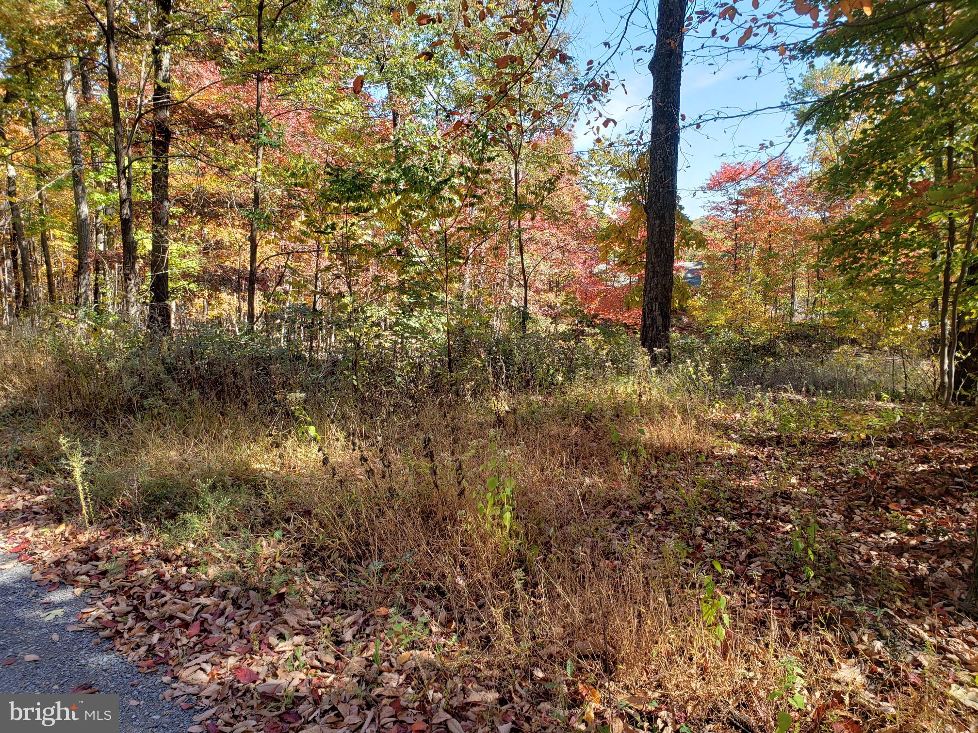 Pheasant Winchester, VA 22602 - Photo 3 of 9