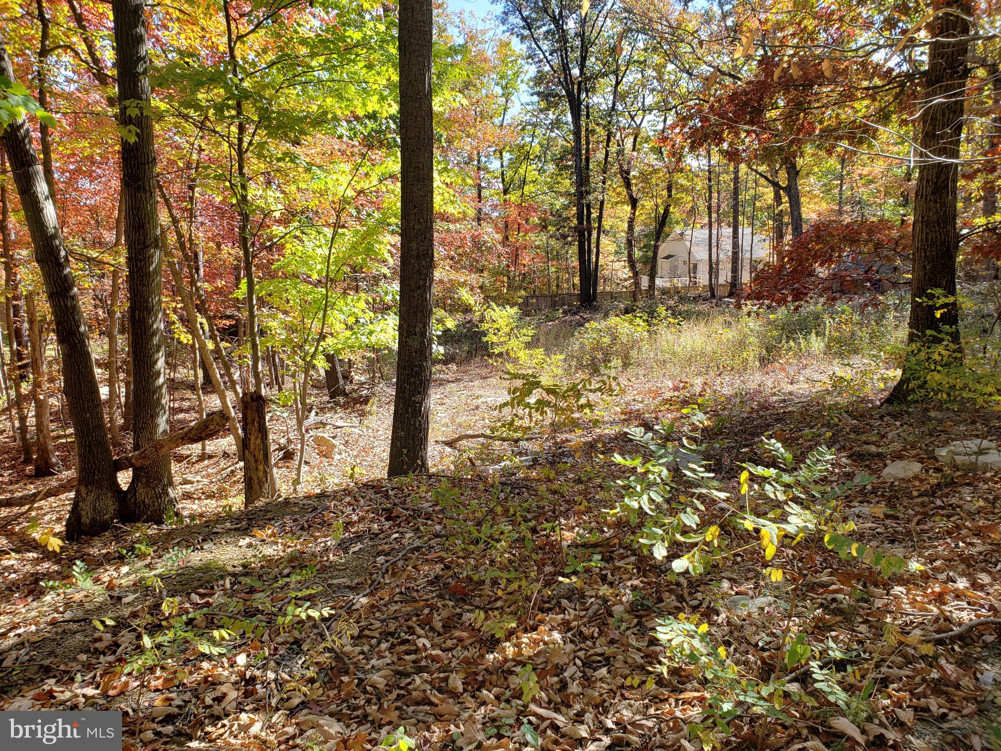 Pheasant Winchester, VA 22602 - Photo 4 of 9