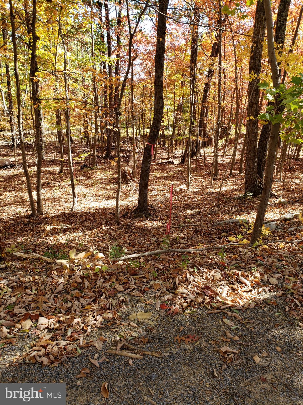 Pheasant Winchester, VA 22602 - Photo 5 of 9