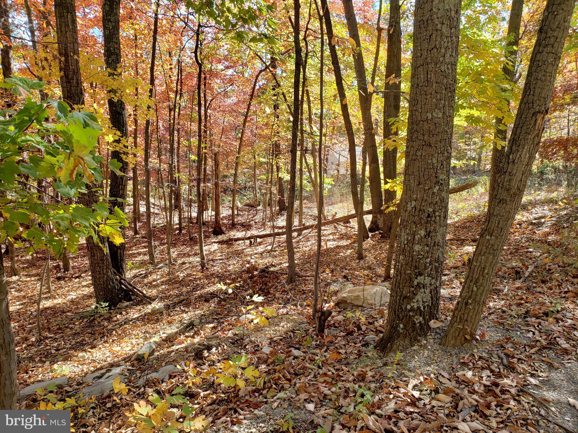 Pheasant Winchester, VA 22602 - Photo 6 of 9