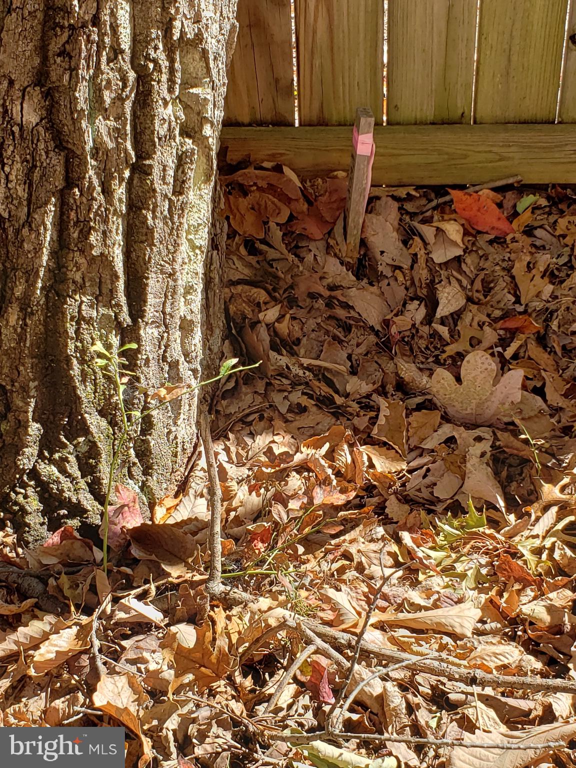 Pheasant Winchester, VA 22602 - Photo 7 of 9