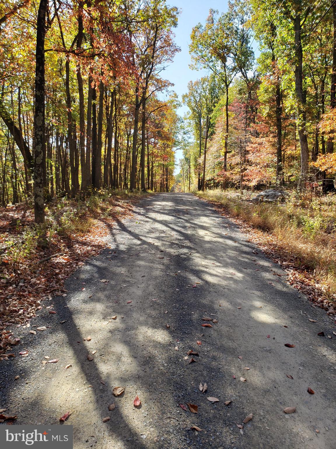 Pheasant Winchester, VA 22602 - Photo 8 of 9