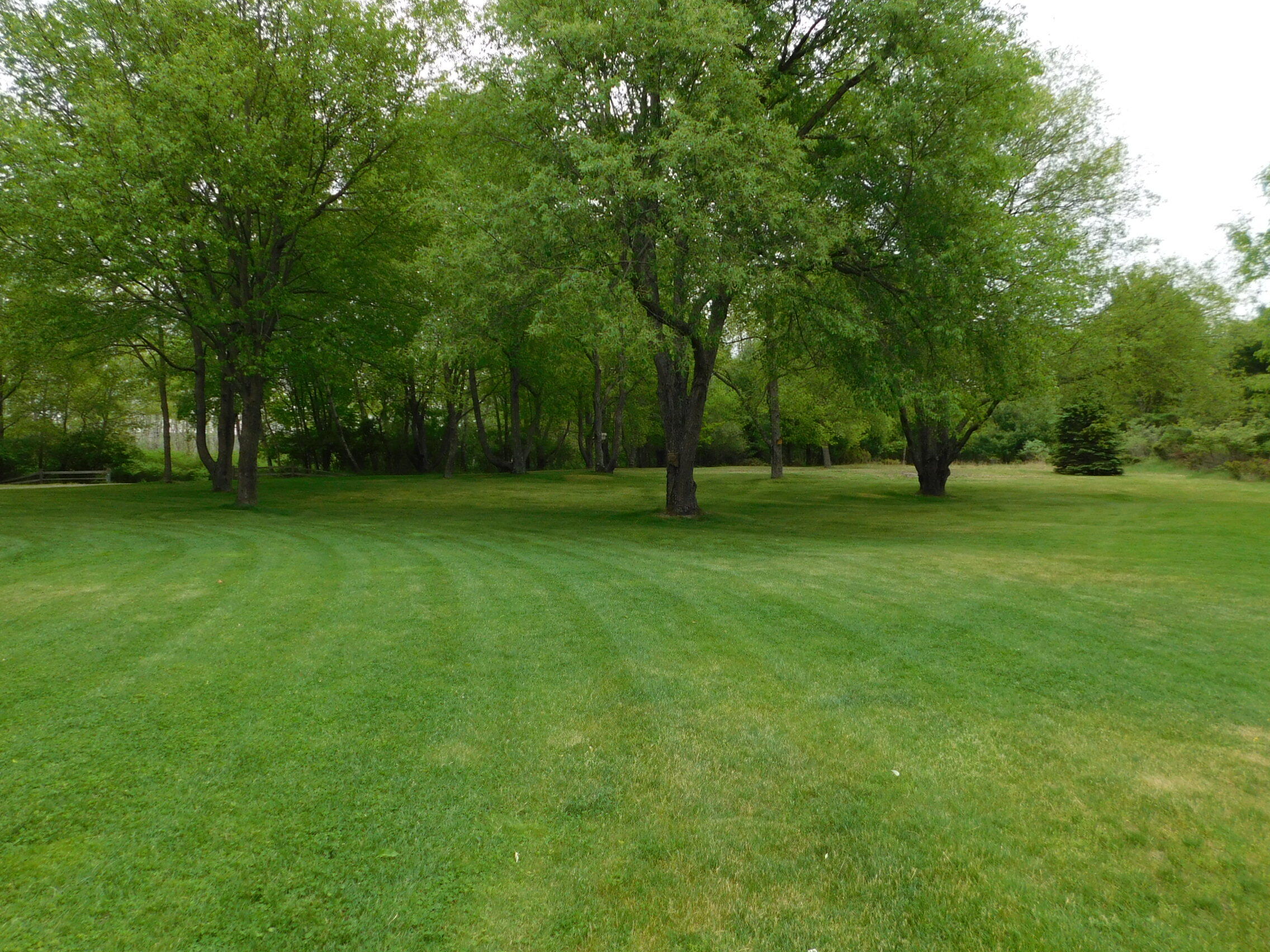 8980 Bayview Road Onekama, MI 49675 - Photo 17 of 45 DSCN4791