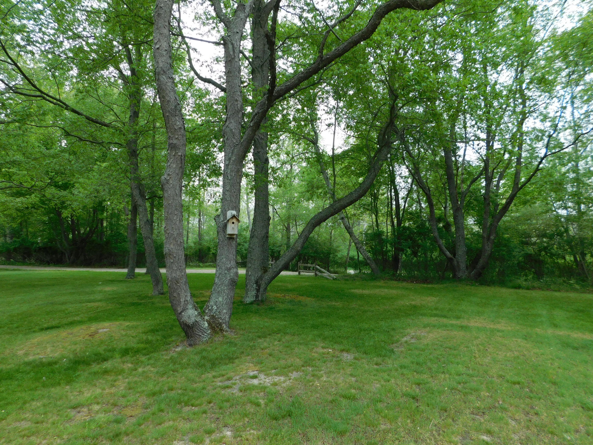 8980 Bayview Road Onekama, MI 49675 - Photo 20 of 45 DSCN4796