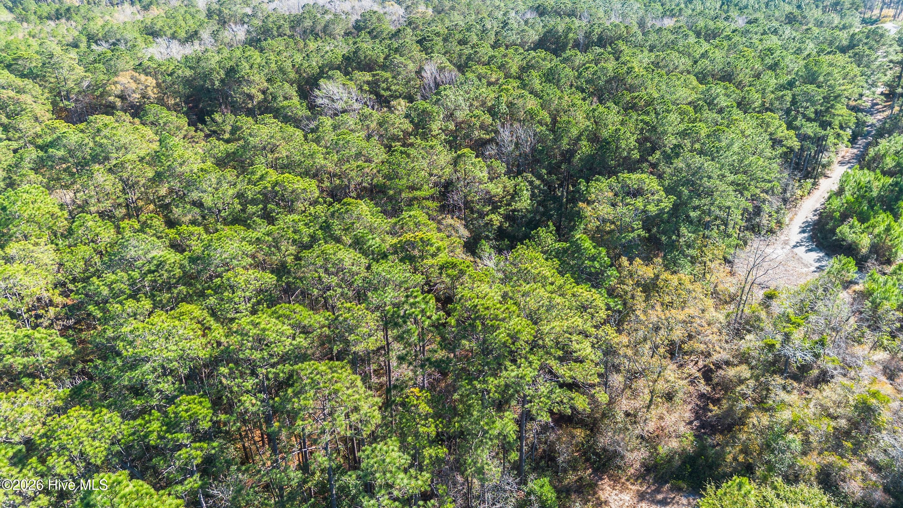 1823 Grissett Road Southwest Supply, NC 28462 - Photo 6 of 31 mls-DJI_0057