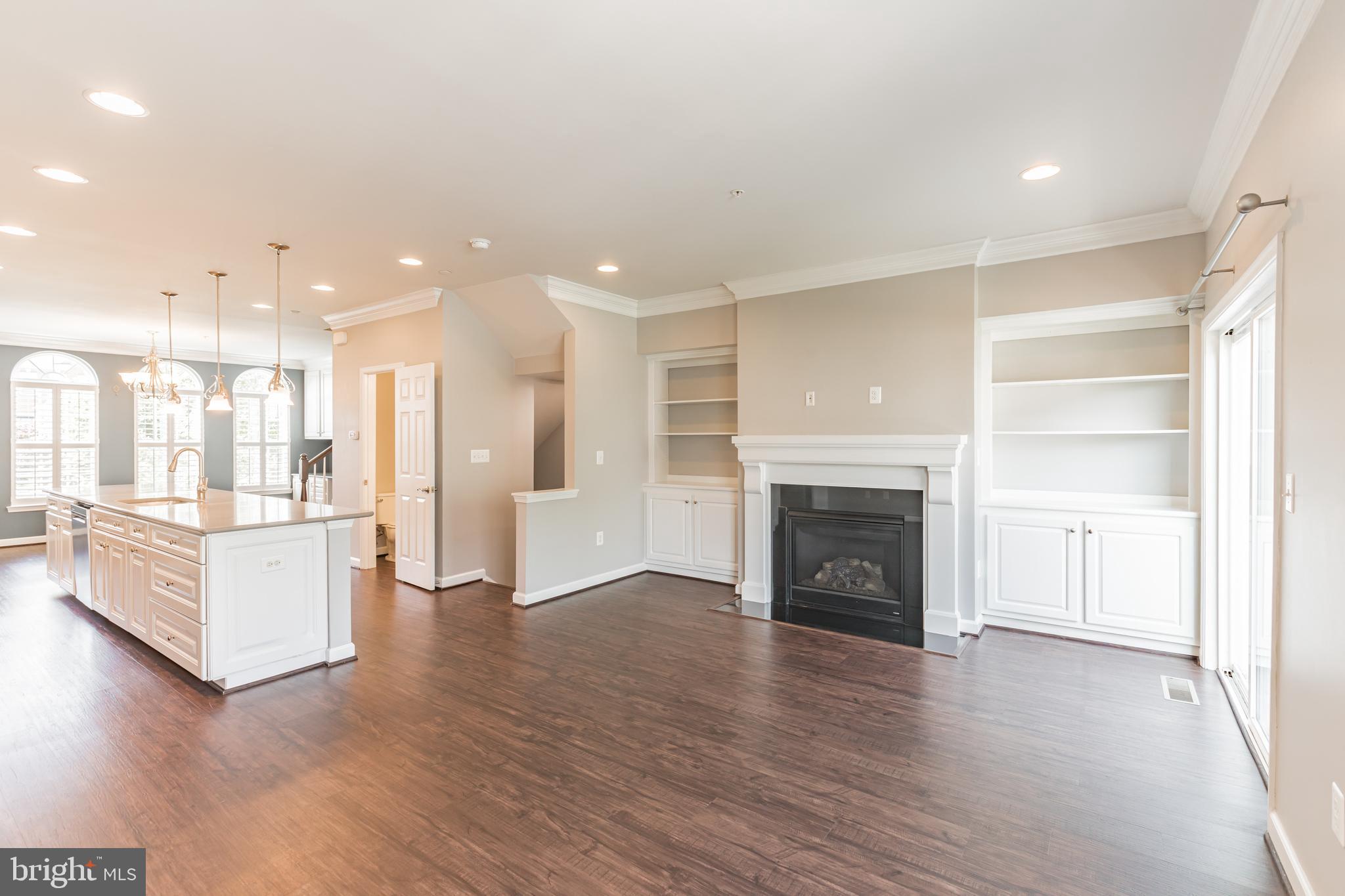 15713 Murphys Tin Street Silver Spring, MD 20906 - Photo 4 of 57 19x14 -Custom shelves, Fireplace recessed lights