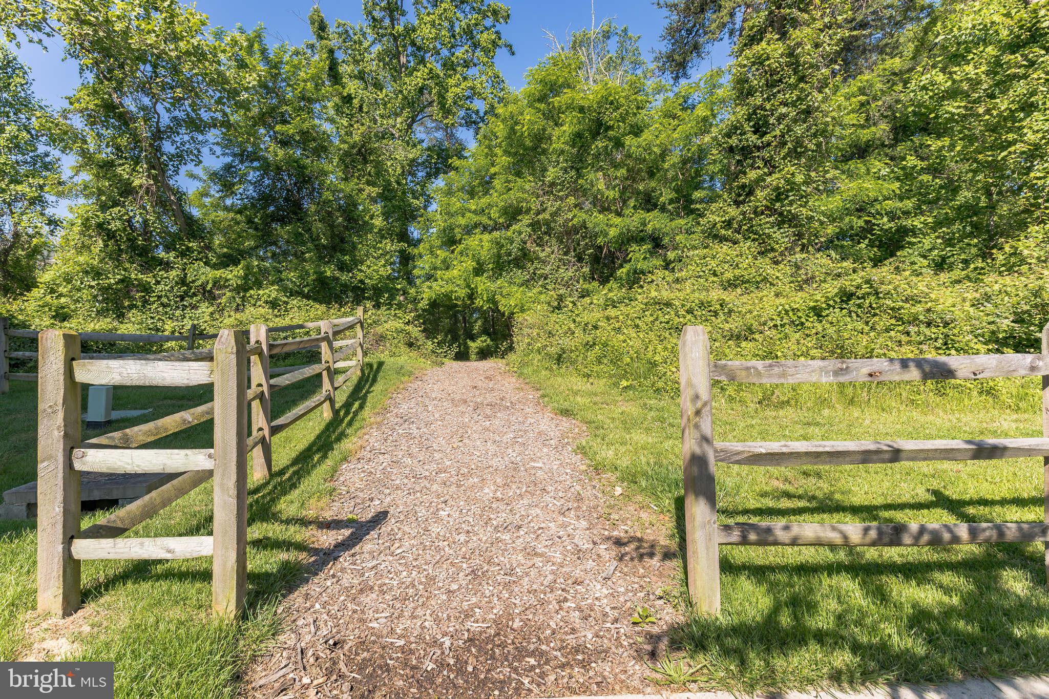 15713 Murphys Tin Street Silver Spring, MD 20906 - Photo 52 of 57 One of the trails leading through the community