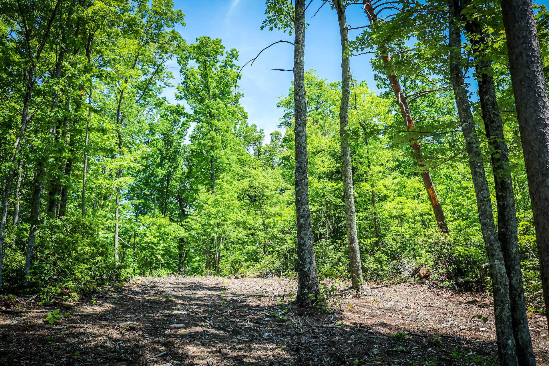 Cliff Park Road Road, Unit 8 Monterey, TN 38574 - Photo 10 of 14 IMG_3089