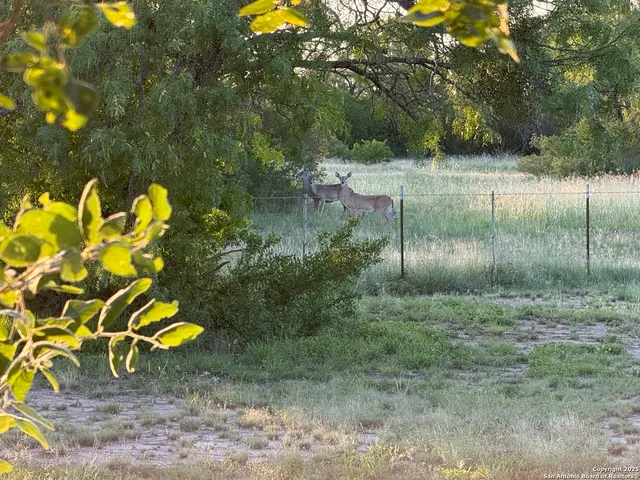 a view of backyard with seating area