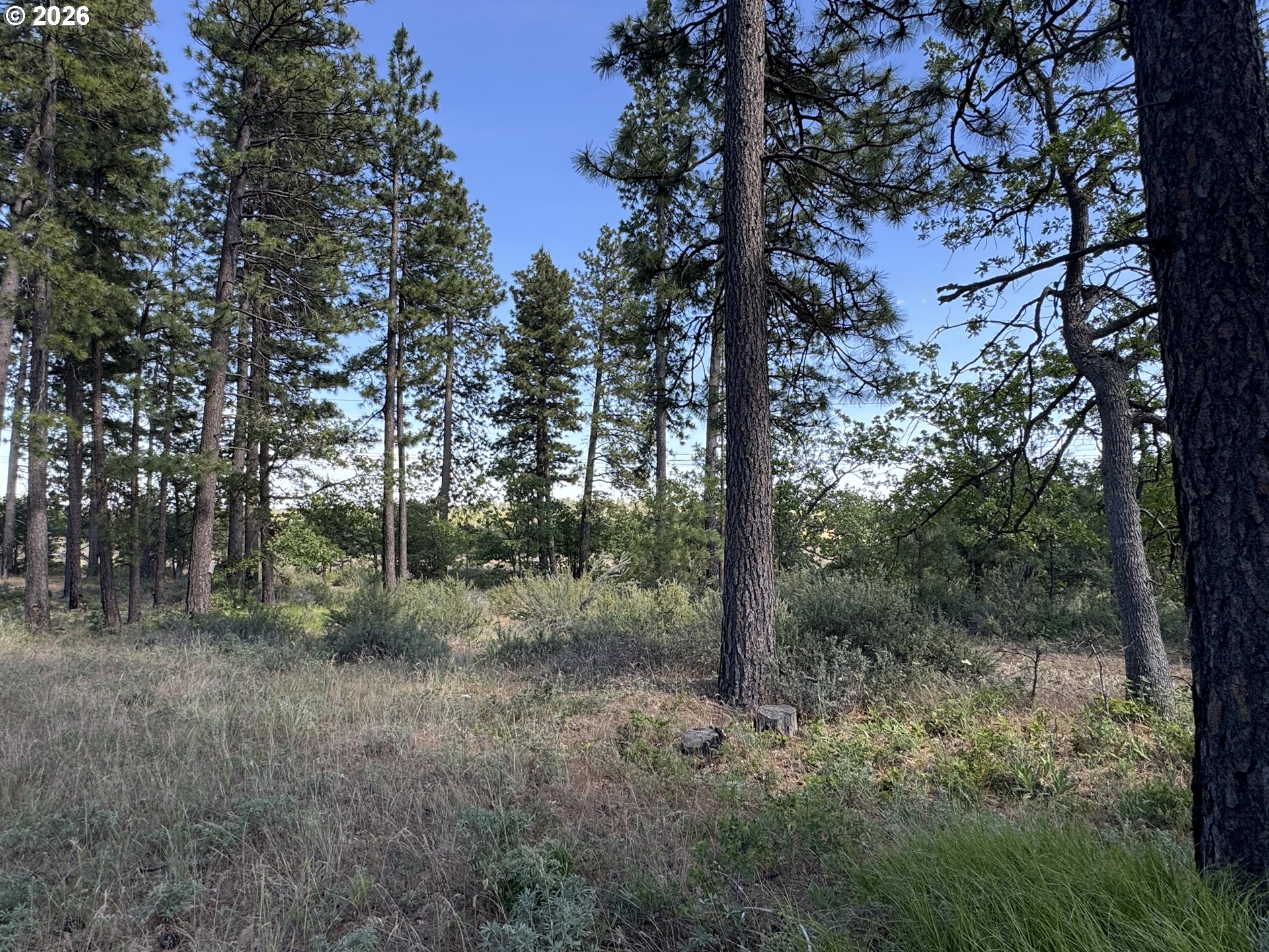 112 Timber Road Roosevelt, WA 99356 - Photo 3 of 31