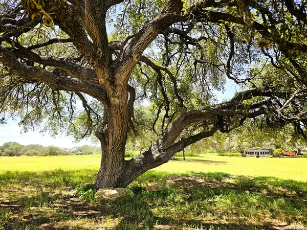 $974,999 | 799 County Road 6612, Devine, TX 78016