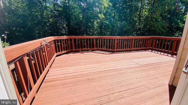 a bathroom with a shower and a toilet