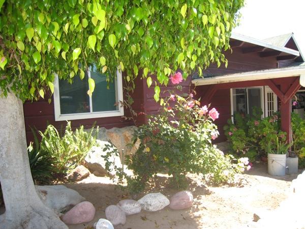 1085 Veronica Springs Road Santa Barbara, CA 93105 - Photo 3 of 12 Back Yard & Roses