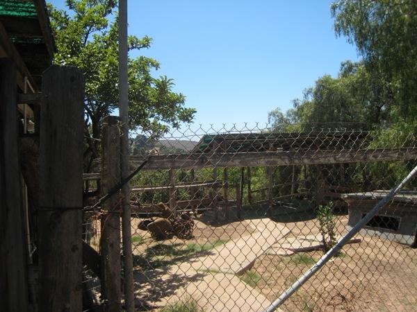 1085 Veronica Springs Road Santa Barbara, CA 93105 - Photo 9 of 12 Corral