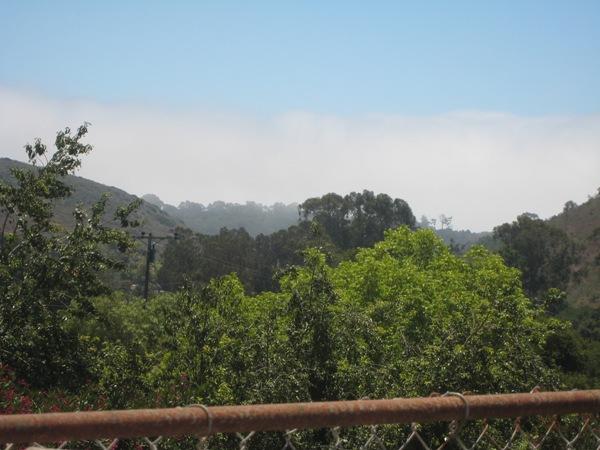 1085 Veronica Springs Road Santa Barbara, CA 93105 - Photo 10 of 12 Canyon View