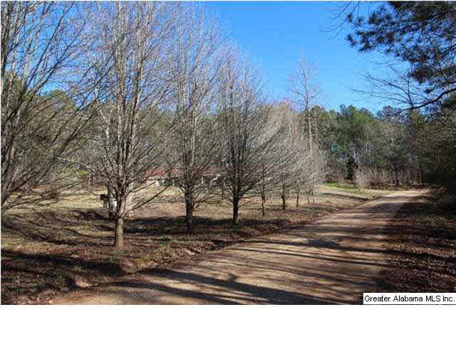 181 Appletree Road Goodwater, AL 35072 - Photo 7 of 11