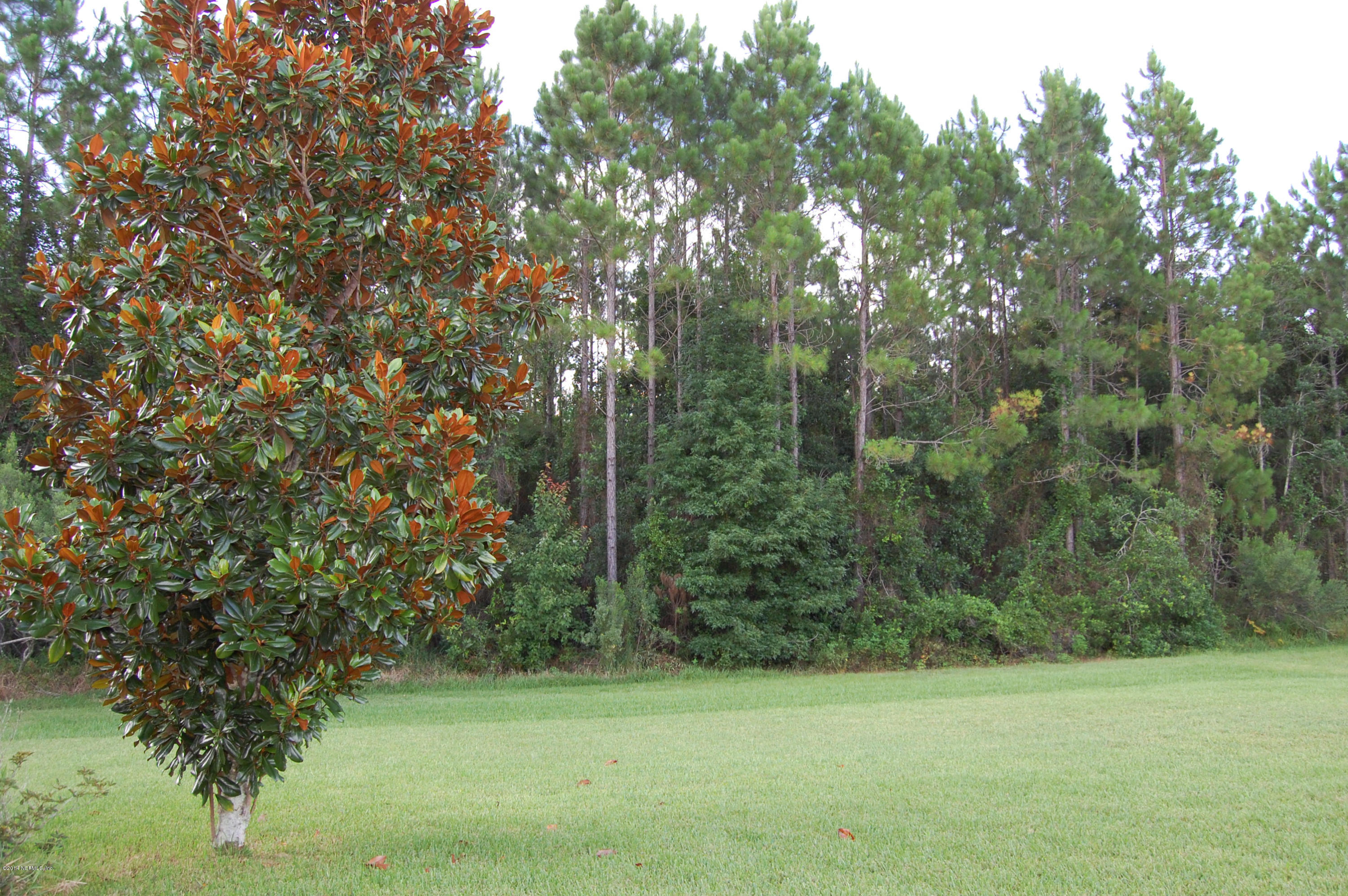 404 Spring Ridge Court St. Augustine, FL 32092 - Photo 29 of 31 a view of a green yard